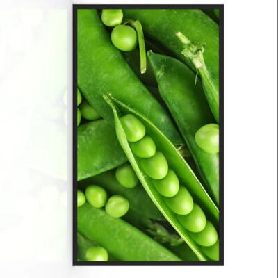 شراء شاشة رقمية خارجية مقاومة للماء بمعيار IP67 مقاس 55 بوصة بسطوع 3000 شمعة آلة إعلانات LCD التصنيع عبر الإنترنت